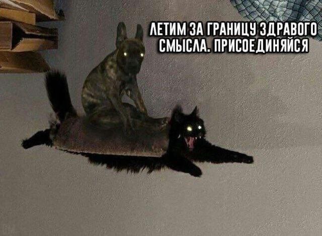 snkO-lKuausR6G3d0X0ySiHIddALWdbMhj4Bh4lOkhZK090vI-Zn8PVrMcuG461lLP4oW6naNlAHZNV7GNtVNKsE.jpg