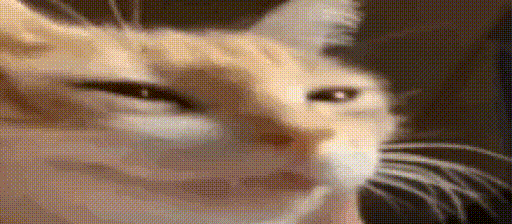 sticker.gif