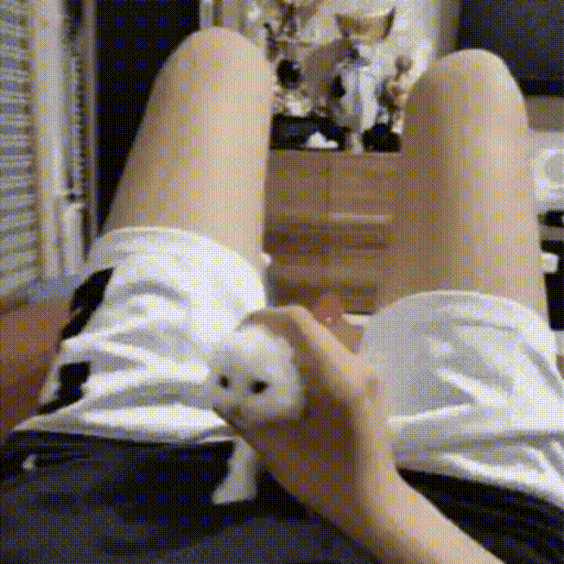 sticker.gif