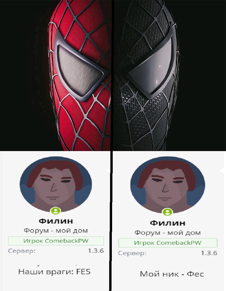 svetlyj-i-temnyj-chelovek-pauk.jpg