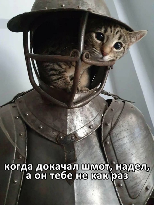 TCuV8CTL73524xUCjBaBhgBU6Sxq5RNyrZpZyTg_u_LYzTNYM3vJ-dytq28AnEyMHoVzvgQ5XS_4lmM8f7e6WjIP.jpg