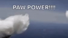 tenor.gif