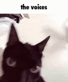 the-voices-voices-in-my-head (1).gif