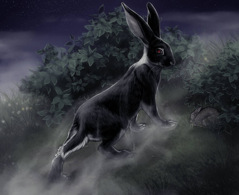 the_black_rabbit_of_inle_by_nyctra_db1kuz2-pre.jpg