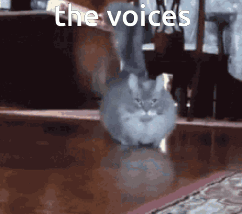 thevoices-the-voices.gif