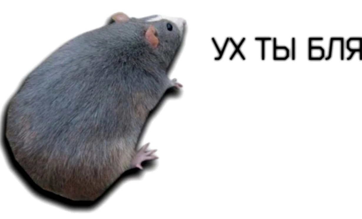 TKMZsQDOkz4PR8CRqXzdYP0-fup31uoCbR80g3AFQx-29jLhzgvbA_u60itfl_g6VSOdbIK645FxipBkr9QS3tQw.jpg