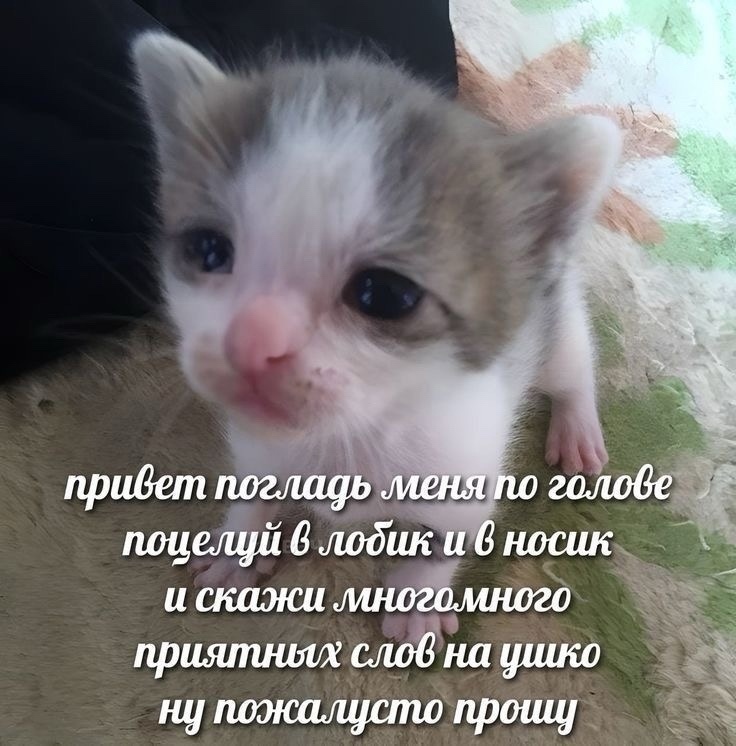 TNPaHoDfCCE.jpg