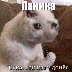 Untitled-2.png Untitled-2.png