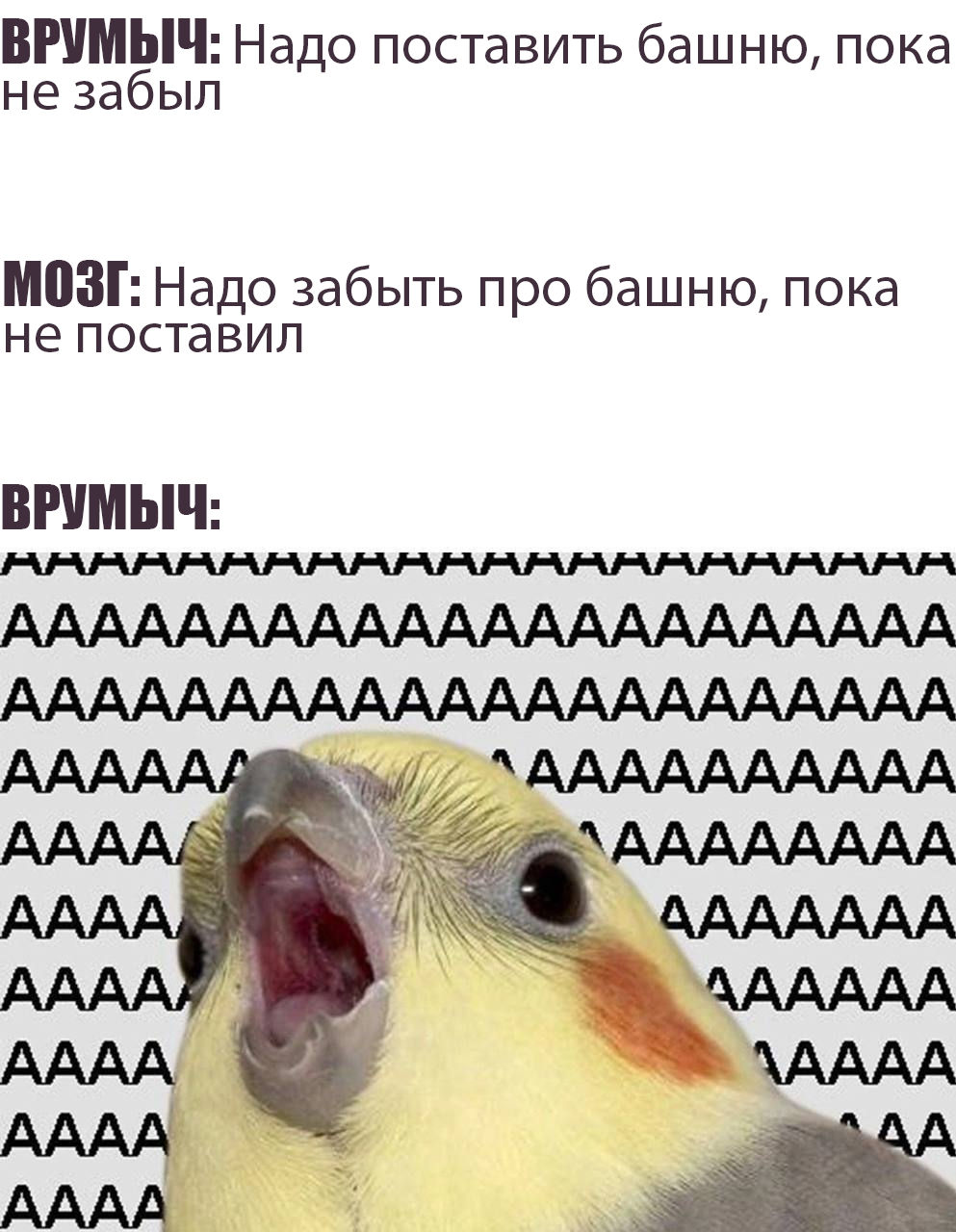 Untitled-2.png