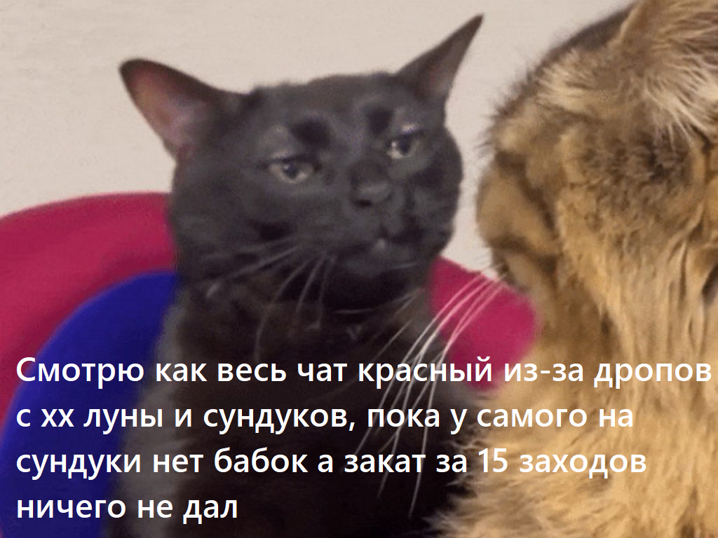Untitled.png