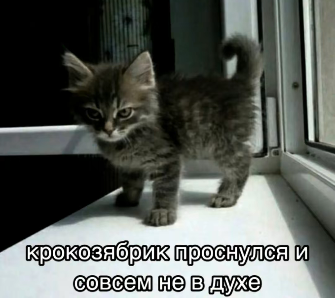 upload_2024_07_25_14_29_50_889.png