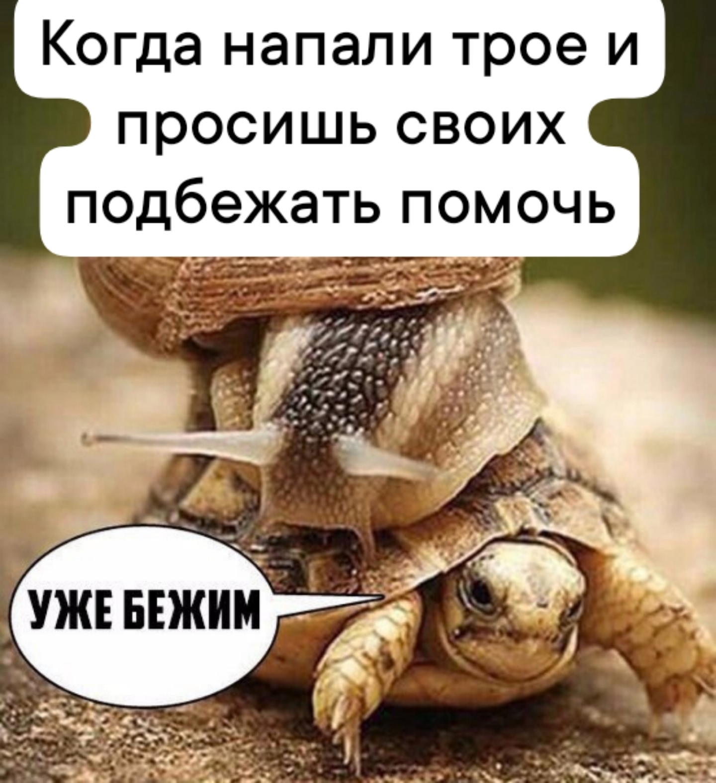 vDiDpcbDvW3qrKbpOqeRBbBrSuy1eiOoWV2ly0QpaDNyu6haFal-h0l_-dOlRRjJ2axKEJtw8_YhFYq3ZY-QC8kO.jpg