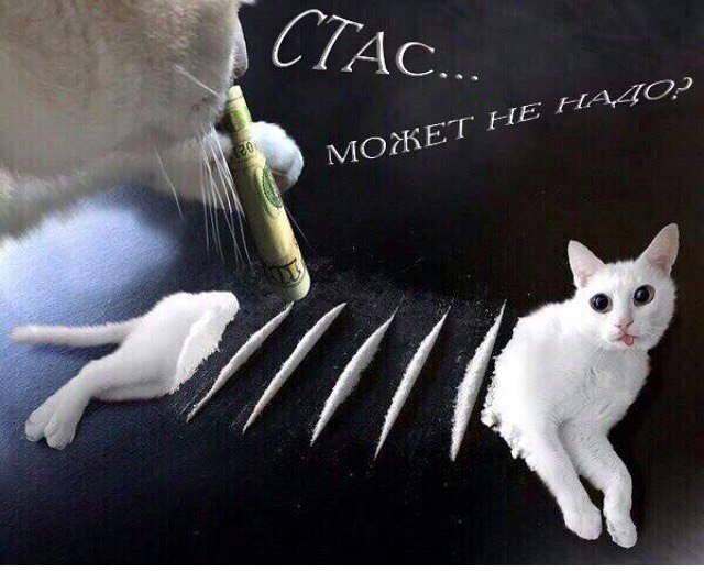 vEwC11RBsps.jpg