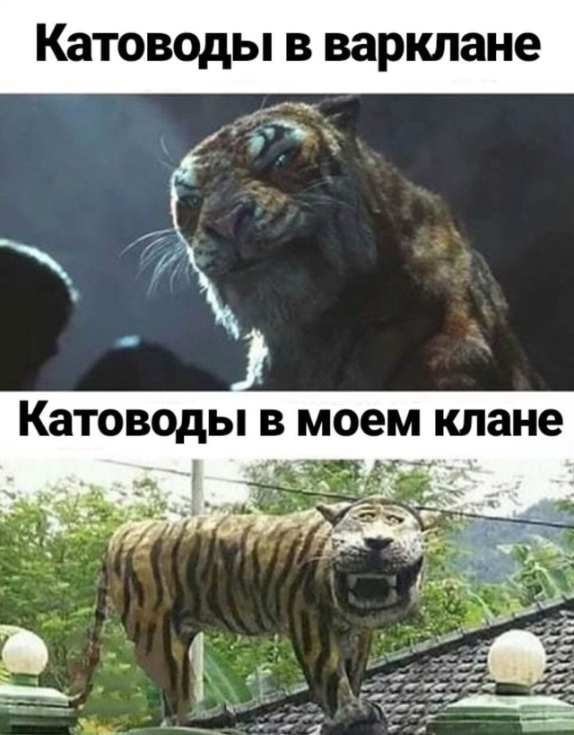 vFJsu-b2NLGgEudgqKz07QU-3UGdITGoo_g05OS7pKZnpxXLg8qxzfjuvTYJQTY889ocYQr9vKb9ytk7njXB2yGw.jpg