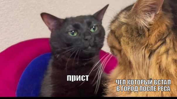 vmZa49bvi5keUstBO4UJAfvgWyvzBeItxi6PEO5OuKpeSKdThciTrUhmwegd1KdrB66oZrW7wfhKsWm4gQ377e_m.jpg
