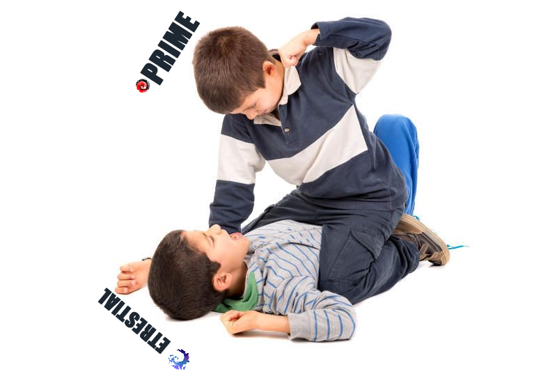 vtv.png