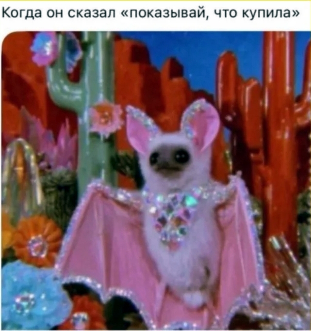 --Vz6Ag4vrlcqj1NNJB8EJEYkzH-V15xDu4ADEnZ3P9H6W51EPbNwdGf8nUKtDl9NNVik60qVji6gN_TrnFtIdy1.jpg