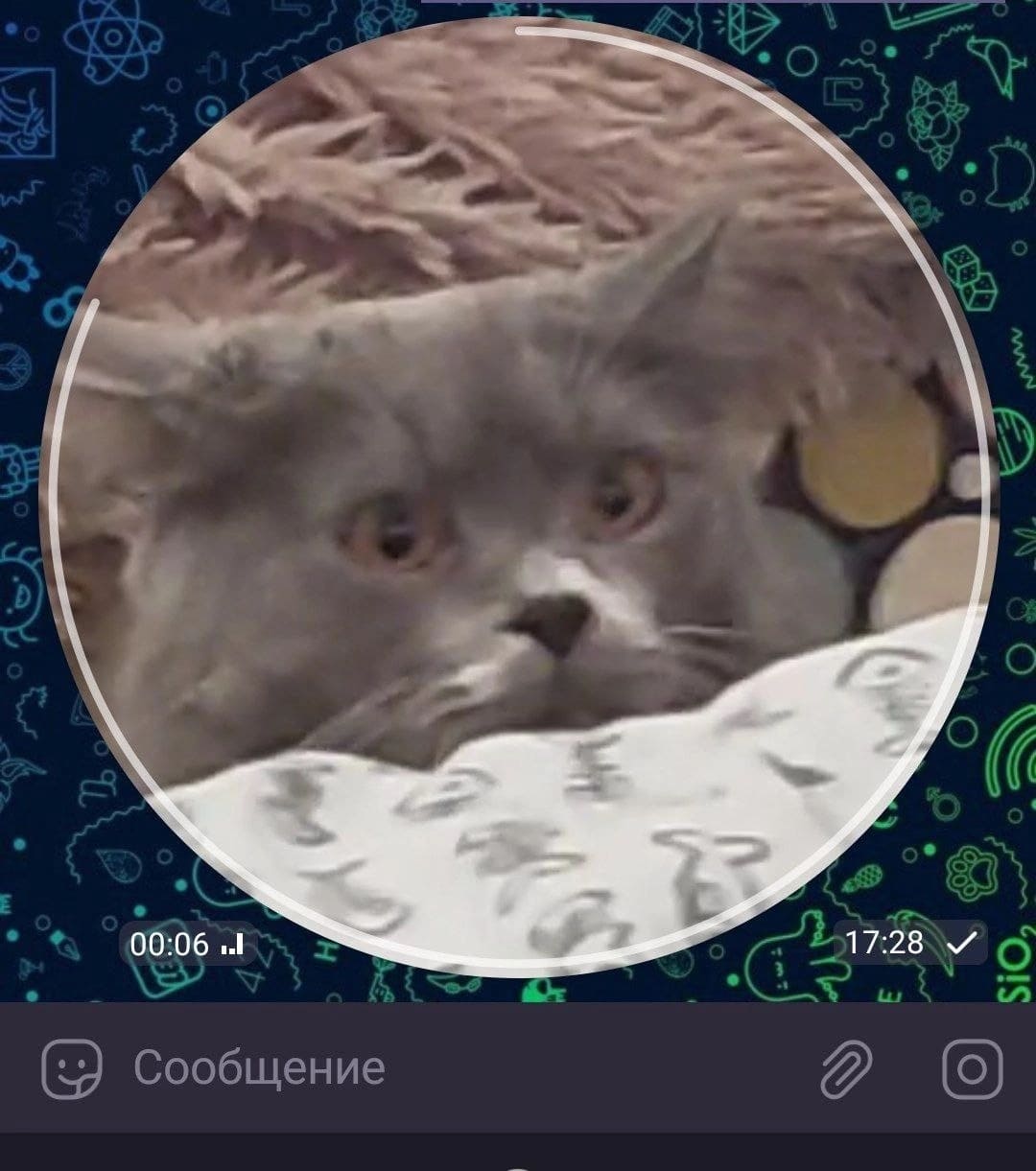 W9u2LUuT9Mo.jpg