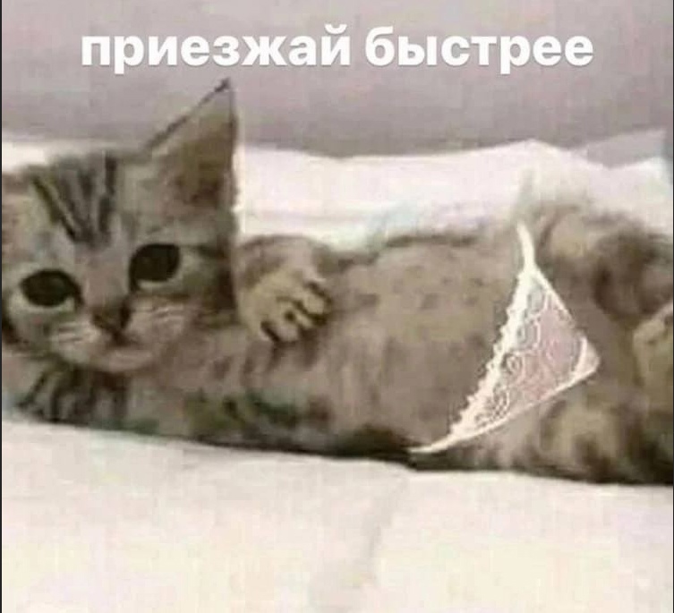 WA33HNh4H2Q1sZz_bjmdtNWGaHZWfCDw4elsCo57IY_SFP0PNp7ZXq65vTMo2fQzNkI_7k5QNnUYOX9nilX65gUt.jpg