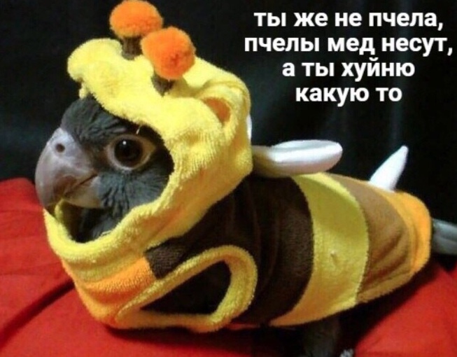 WDF1W037hzY.jpg
