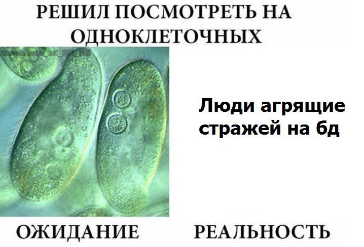 WhatsApp Image 2025-01-20 at 22.45.43.jpeg