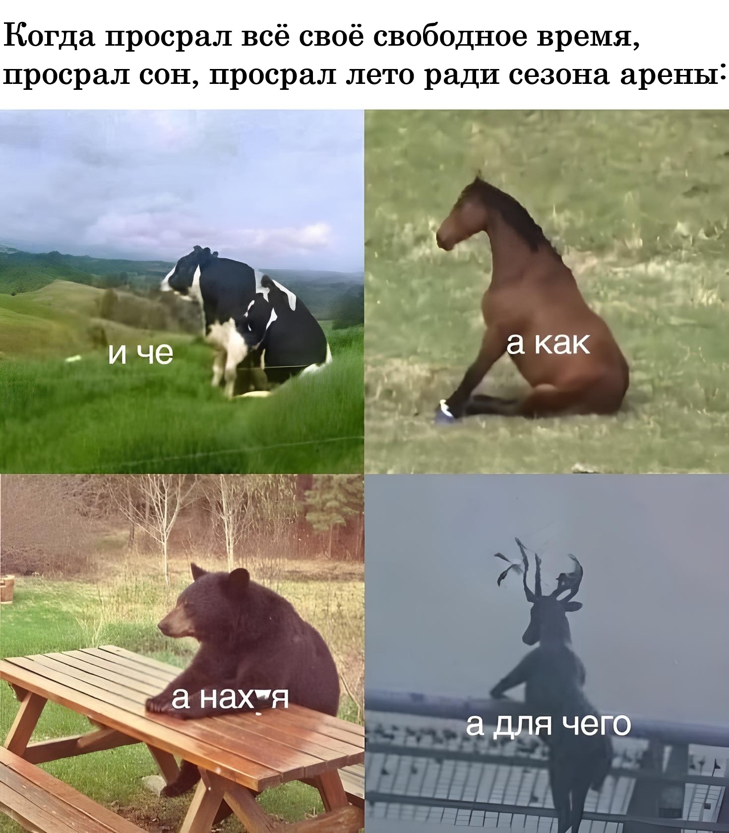 WKwLb8qEz5uVJQ9aPBeLI5dkLvHcQmDH5o7H6VirE4TL250HVnJFiE4DmPvBwIZ90xx19FE8-Kvpy5Sl4JHknJxb.jpg