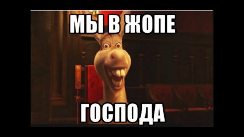 x_37126b3c.jpg
