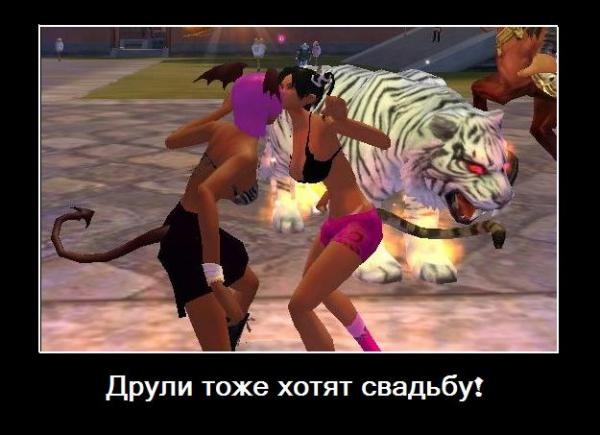 x_5952833c.jpg