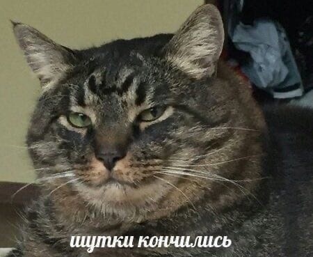 XODP6bGKXnU.jpg