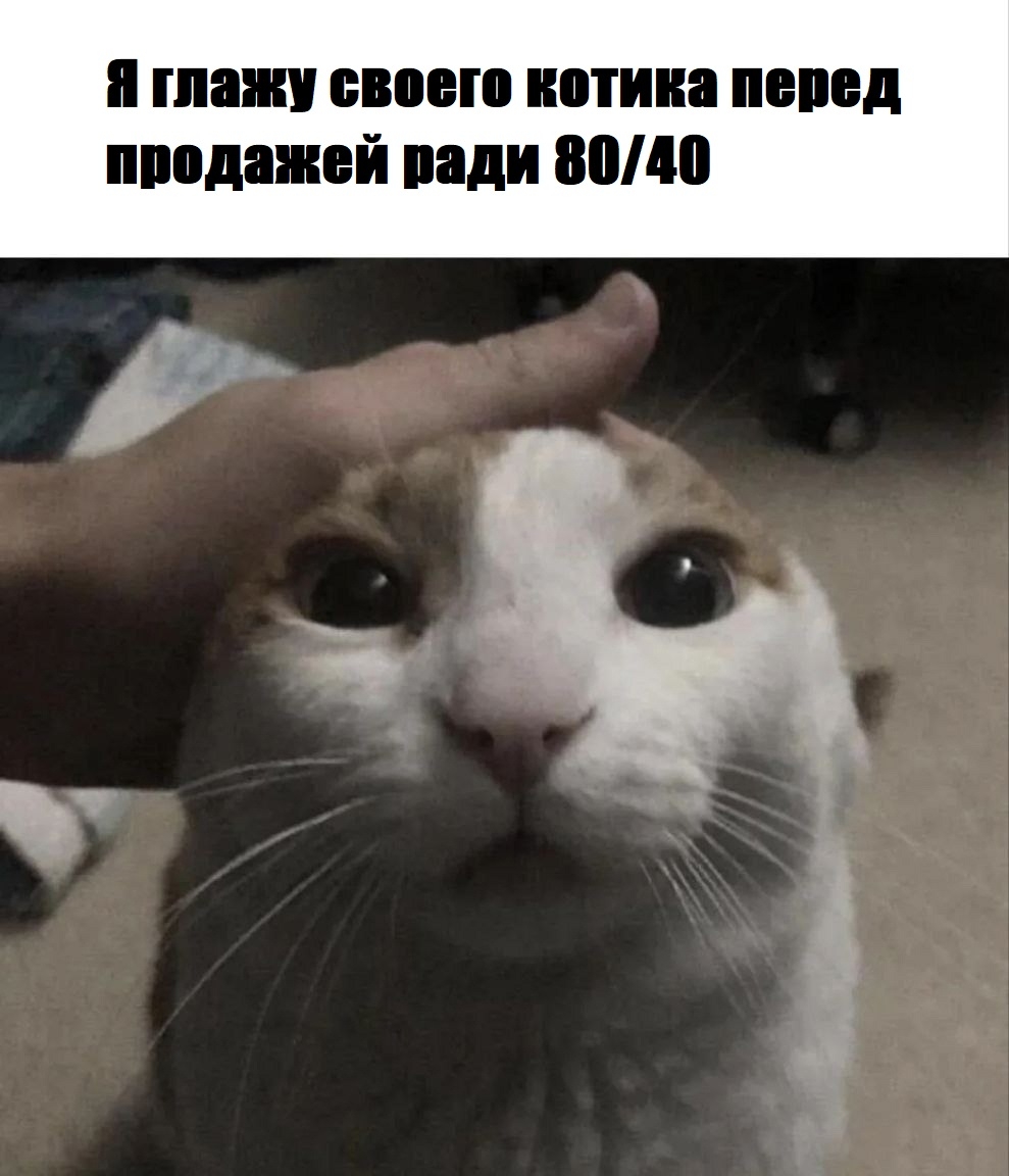 xsEKT4Ejju1C9eYMti_XB_DWih8RlG5QQ9JmPyumM2VtifgXcLkZyngUkfLJrRkYle0Cs_s8cndwaSsct6Da44PL.jpg