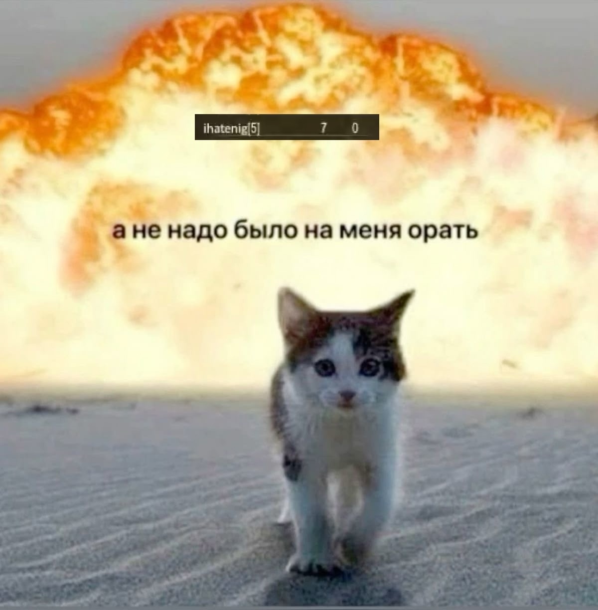 XURDQ0nYwCYDmsKiHdoLL5yUyMmxgRQlzS1fgCIz-fcTU_TXWCwil6qyTKjI3bZq1dMsxYzRa5eoak-4CgH1wrhq.jpg
