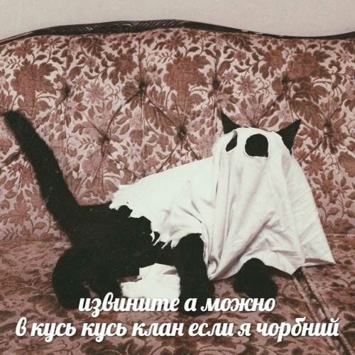 Y5ys13Md0kg (1).jpg