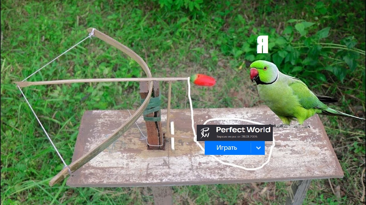 YLJGAwiq86W0DV6oDfgsAw8ps6gJhnkZjfiFHUjOrLQTnYLiqFtTzBsDYGarAvz4boh49laKlx7X3HKTaGwu3Xlh.jpg