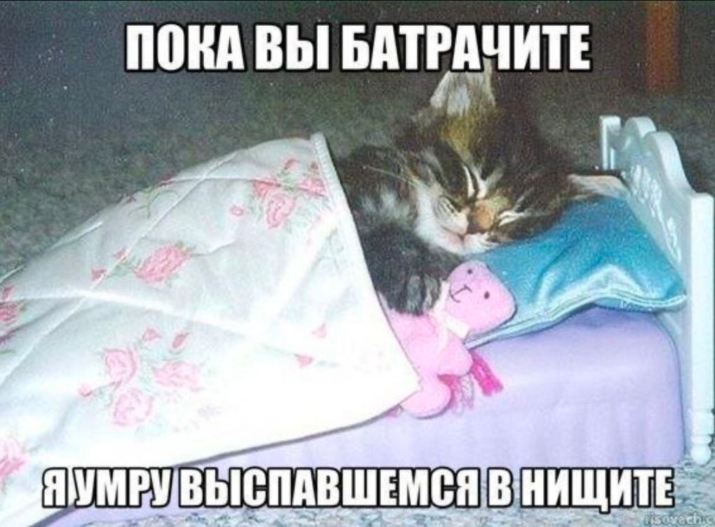 -YLKl3NYfVo.jpg