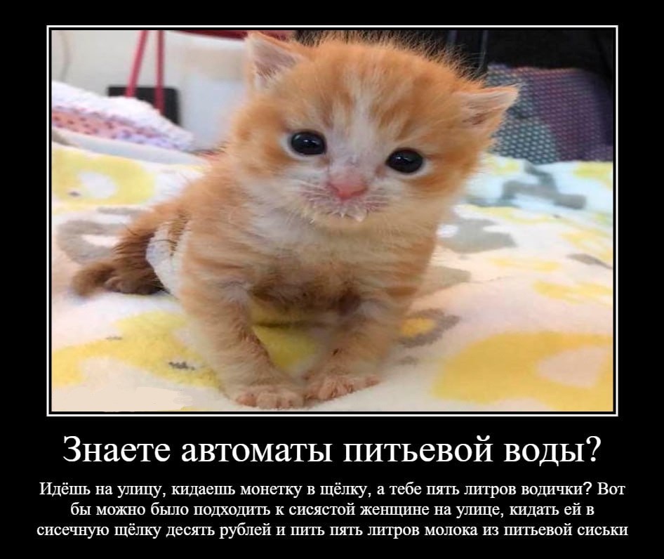 yNy45hpoyl358qJh0LsUVstdhDaktCkMTSCjCvzG_5e5P6-pJQ2Ea9dZLjcyZGsjW_GVy7ydaPC-kUvYHS3kMSnP.jpg