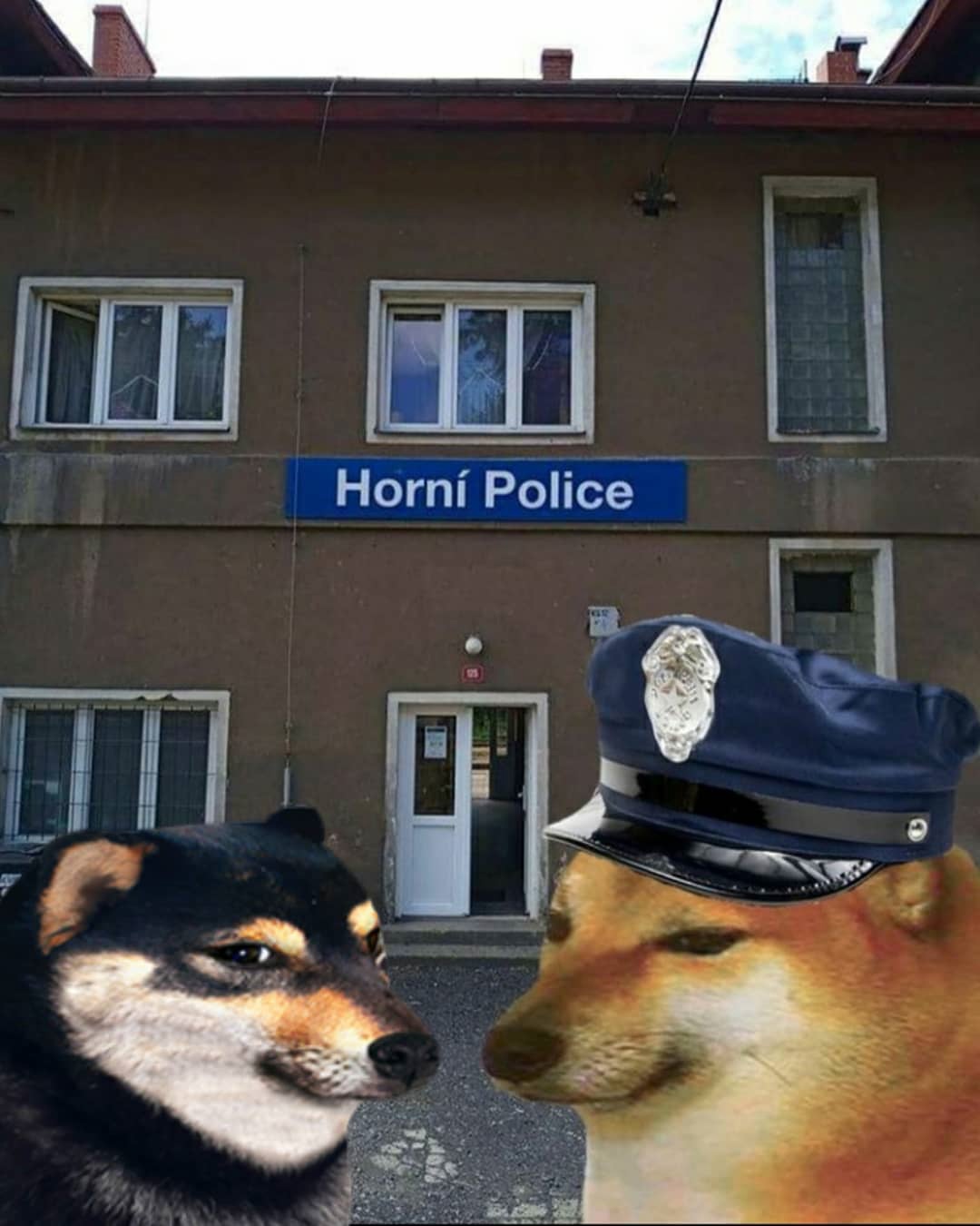 ZalpWCkzF7g.jpg
