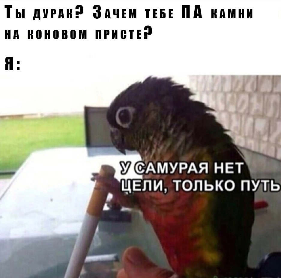 ZDuaE_d49J8.jpg