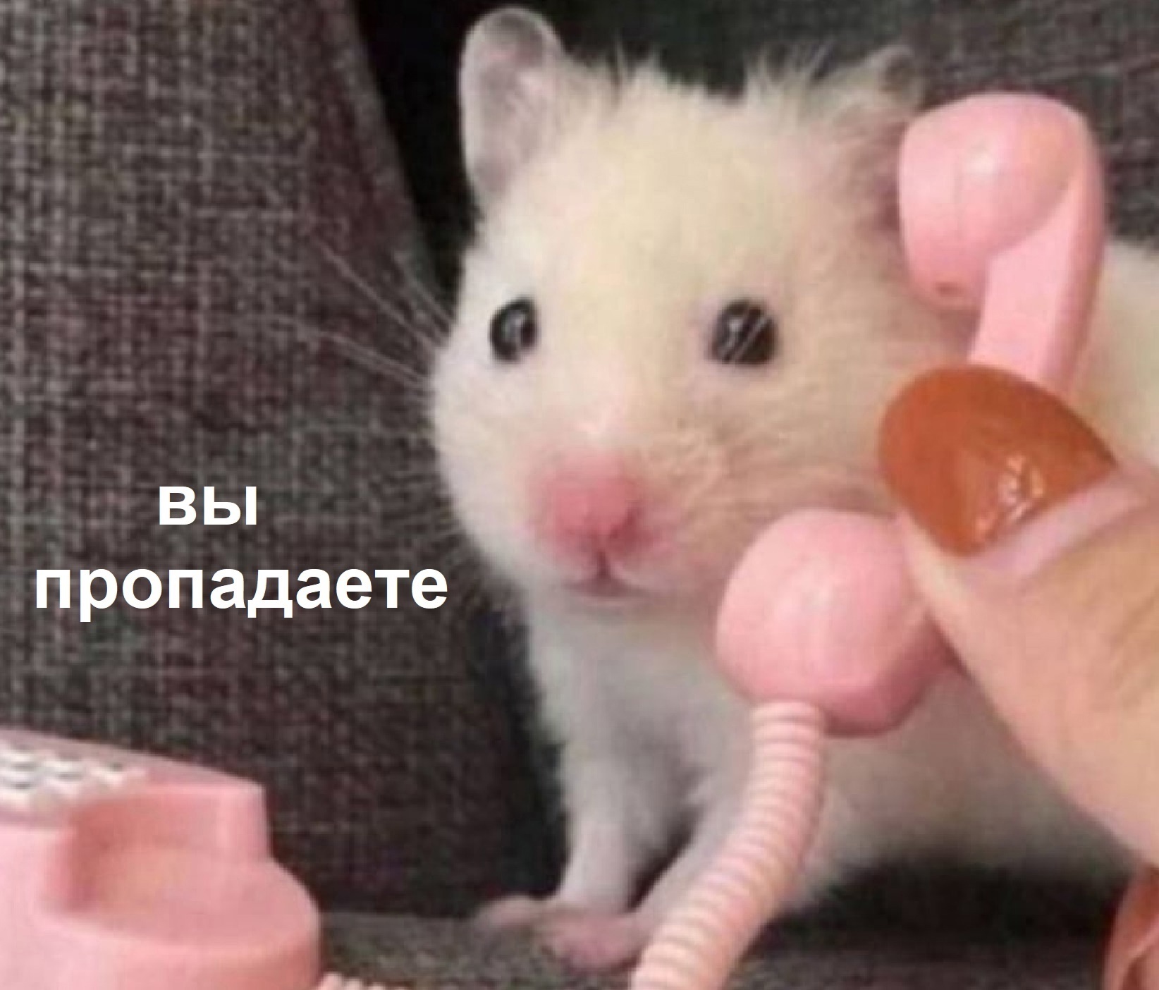 ZdZItQIPWeI.jpg