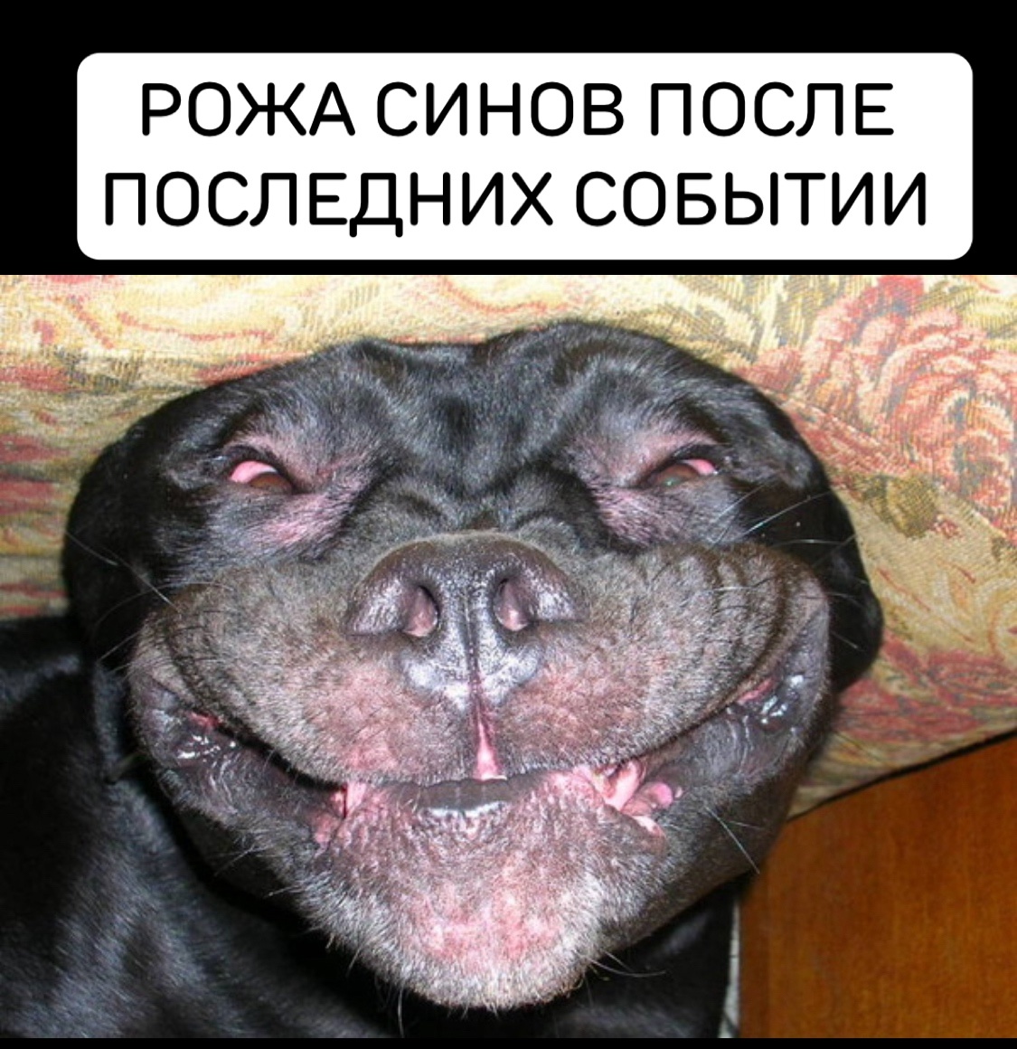 zXqtH59o0GCXHwleS-khOZYmusKONn5clfg43wsal0JPl1mWUUS-vW-uMOHzPUN6pJNe4ji0RAV1hUJCKjqOvXg9.jpg