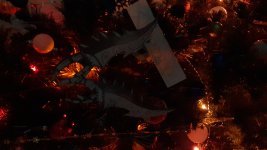 20201228_214428.jpg