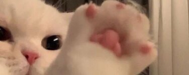 IMG_8752.jpeg