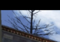 IMG_2893.jpeg