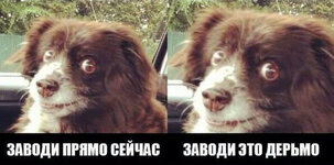 анонс.jpg