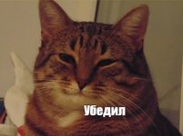 IMG_2831.jpeg