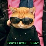 IMG_9420.jpeg
