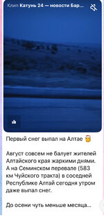 IMG_5005.jpeg