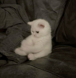 1756402217698.png