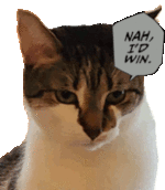 nah-id-win-cat.gif