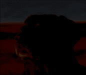 dog-dog-staring-at-sun.gif