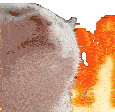 catjam-fire-catjam.gif